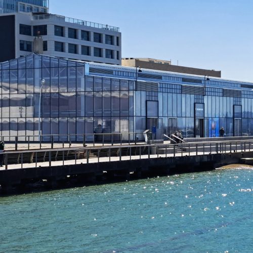 מבט כללי 1 מעובד